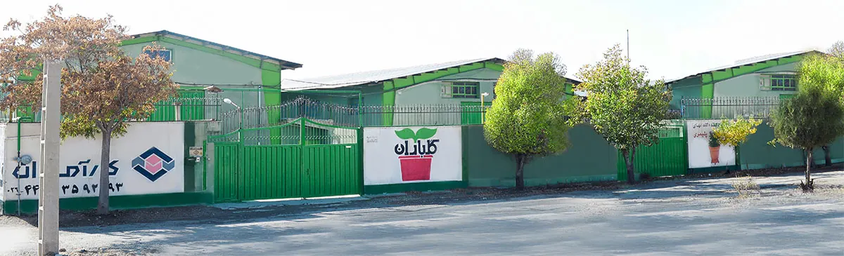 کارخانه گلباران در شهرک طاووسیه